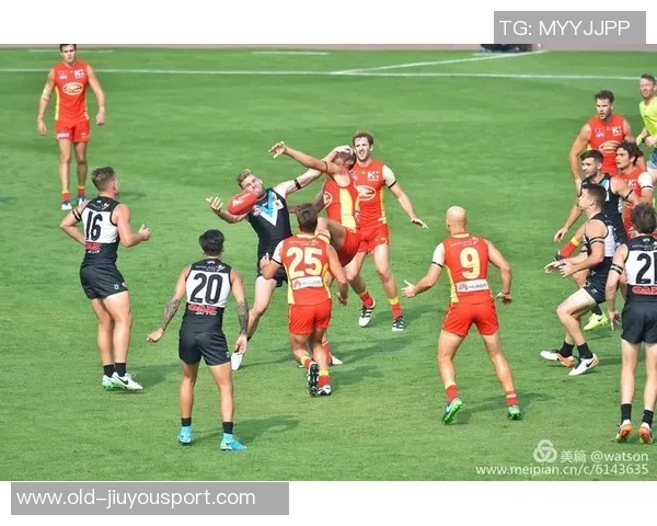 澳式足球与橄榄球的魅力对决探索两者的历史文化与竞技精神